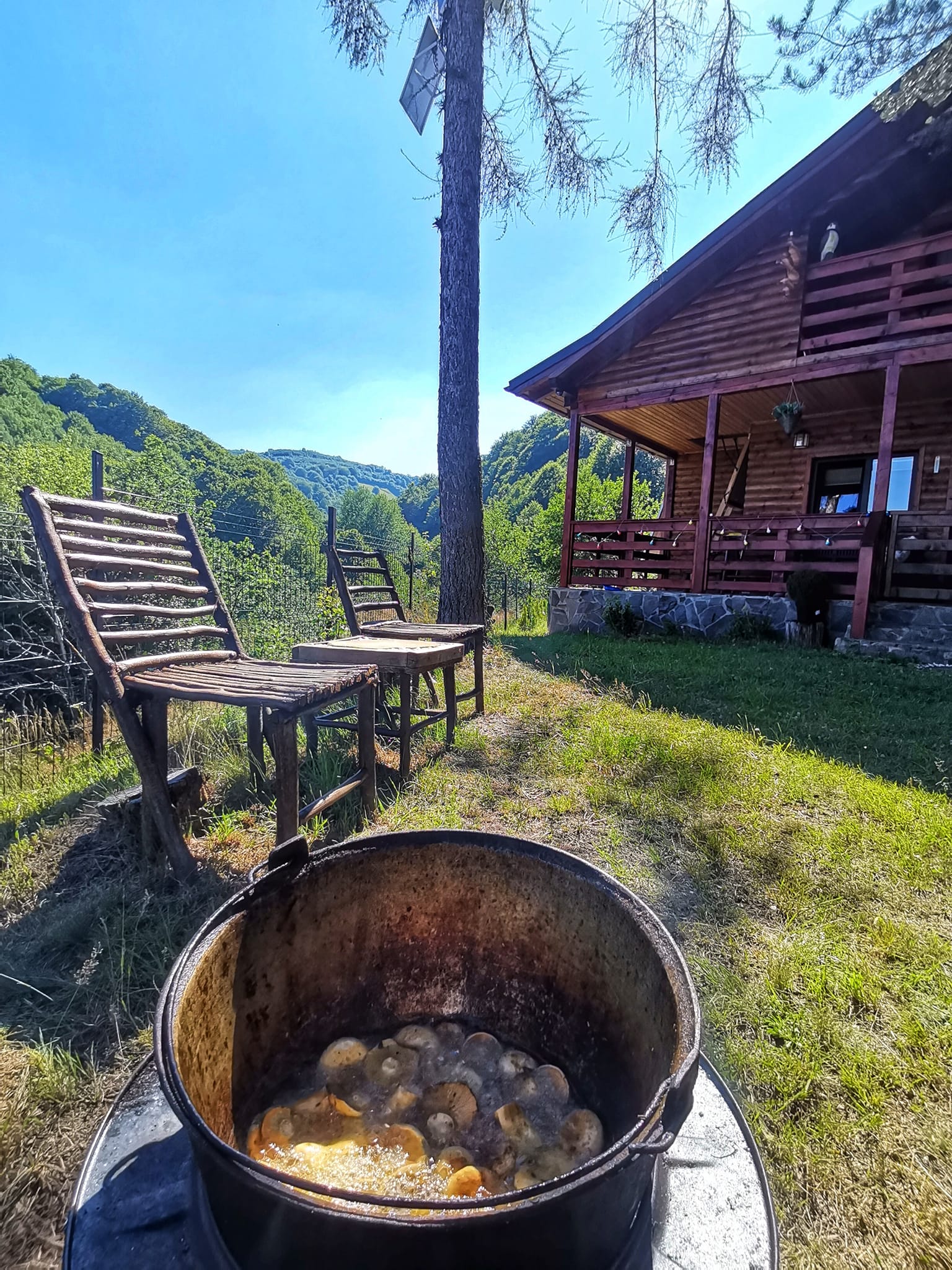 Poza 28