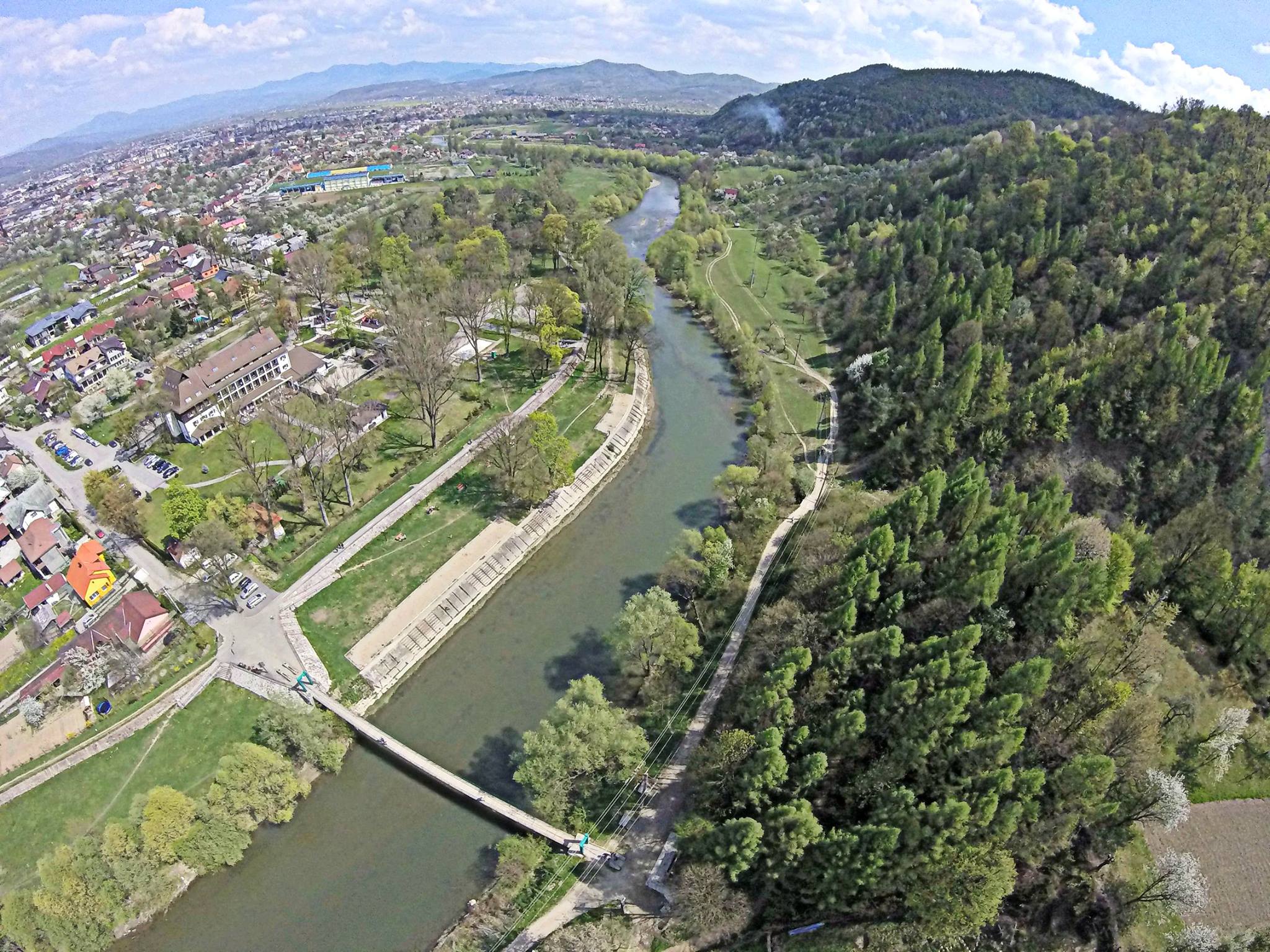 Poza 49