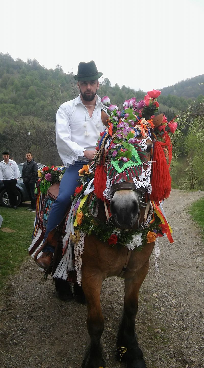 Poza 55