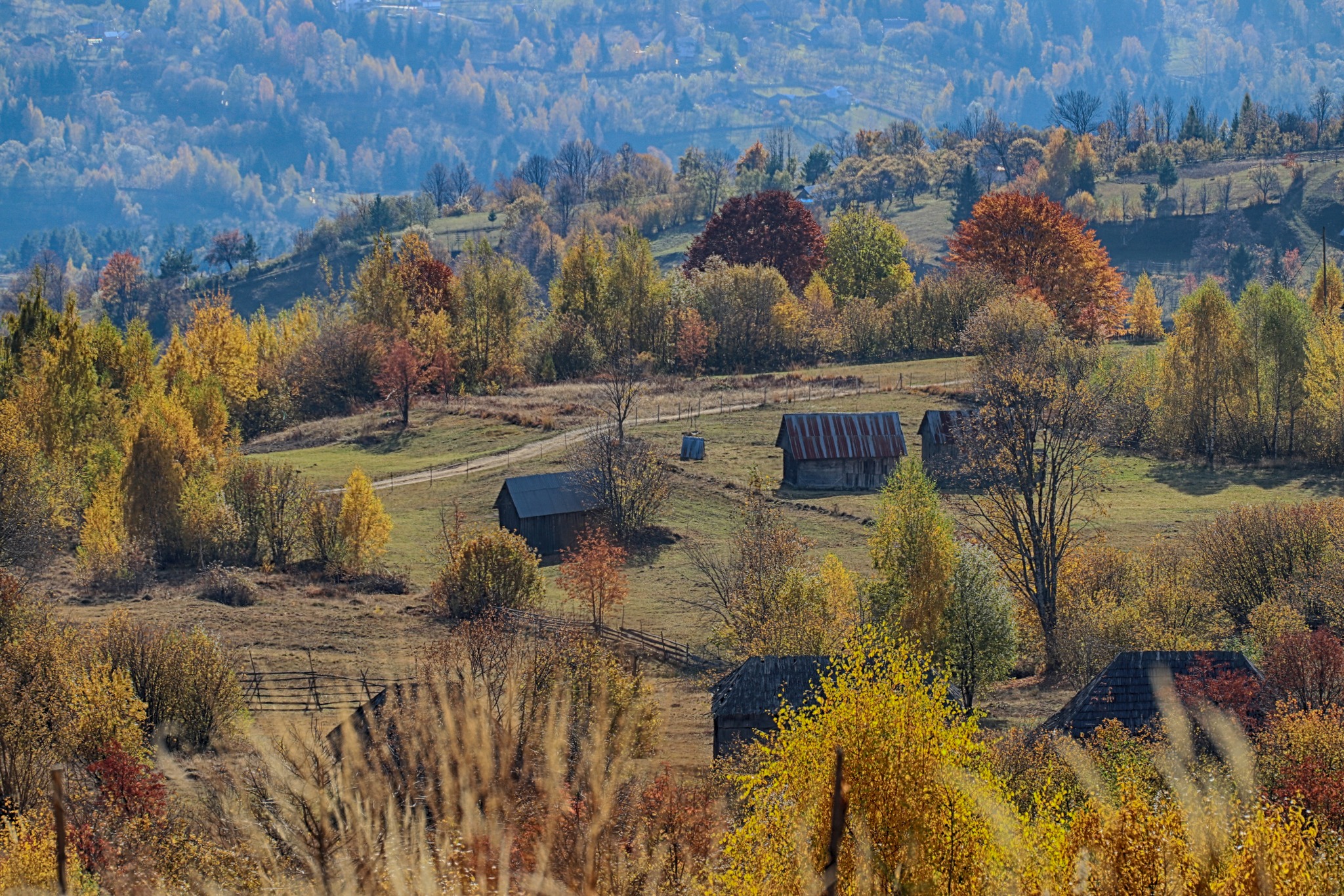 Poza 72